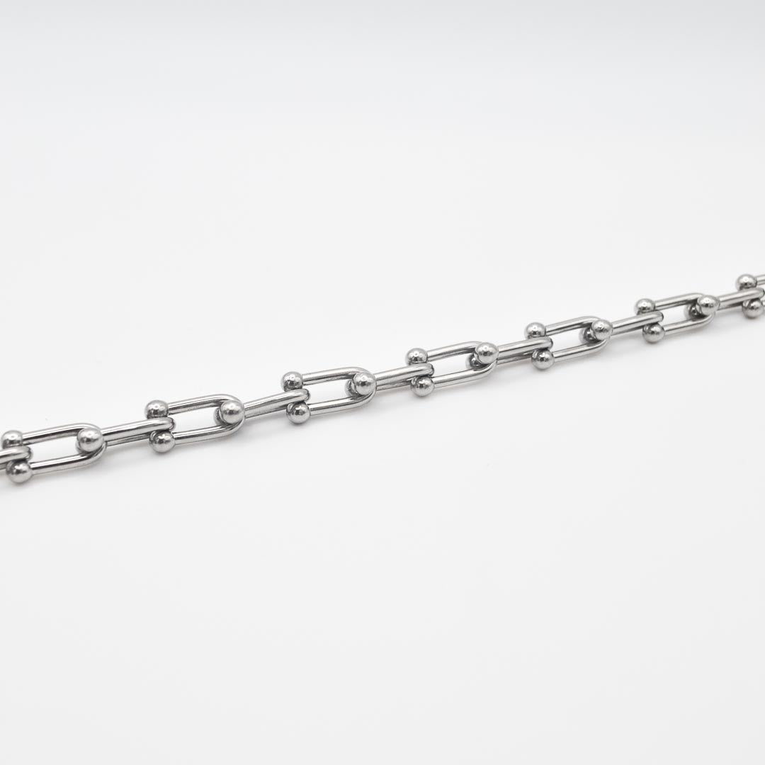 Silver Horseshoe Link Chain